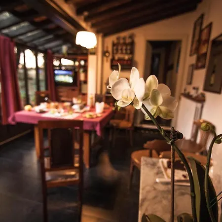 Rifredi Bed & Breakfast Florence